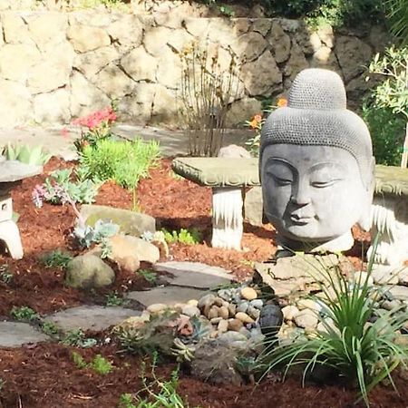 Serene Charming Private Suite Patio, Upscale بيركيلي المظهر الخارجي الصورة
