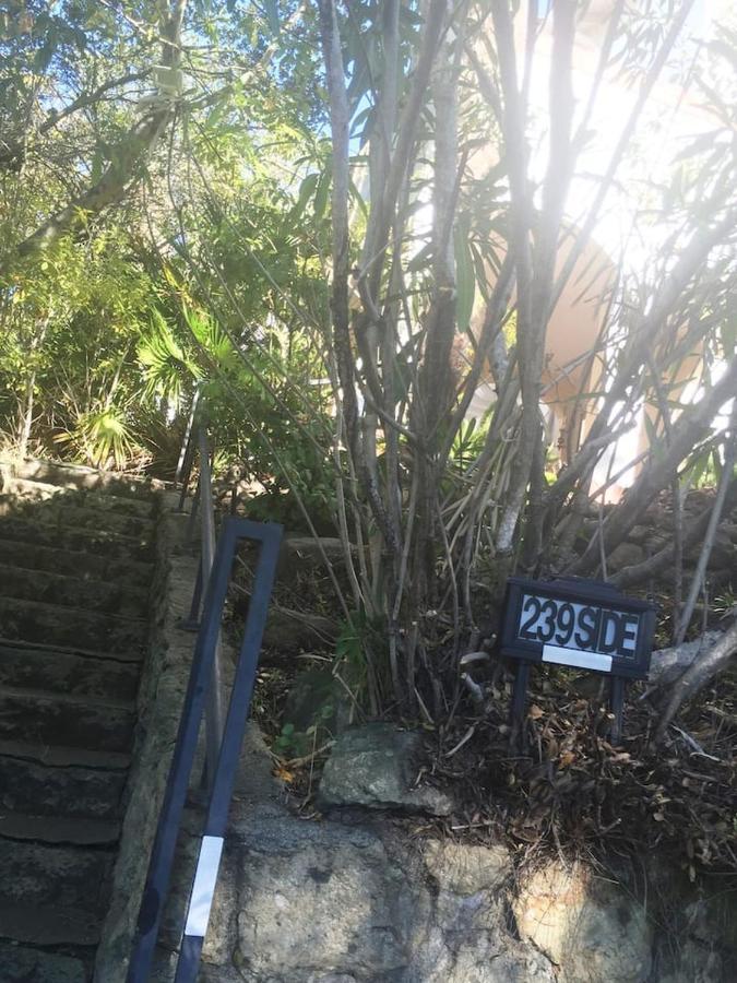 Serene Charming Private Suite Patio, Upscale بيركيلي المظهر الخارجي الصورة